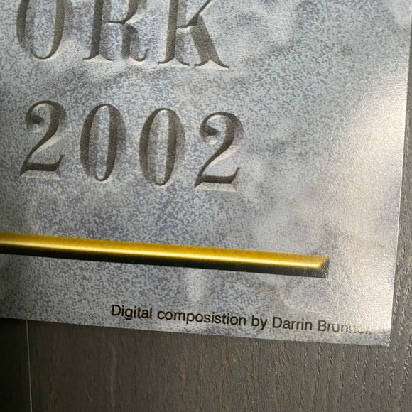 DARRIN BRUNNER STRING CHEESE INCIDENT POSTER - Picture 3 of 7